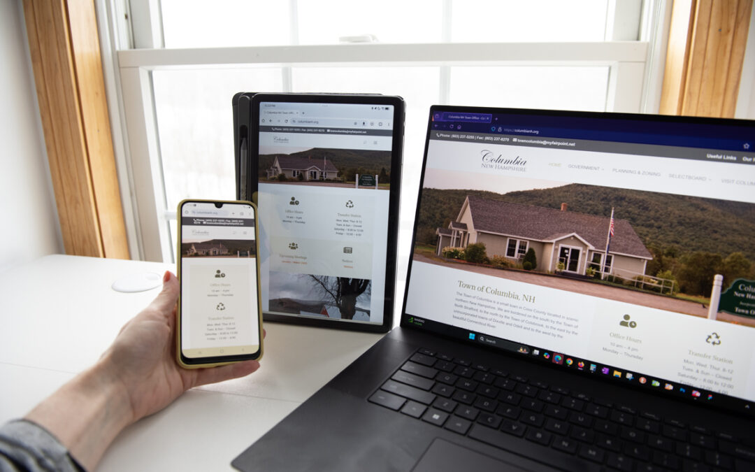 Empowering Digital Governance: Professional Website Design for Government Offices with Civizone